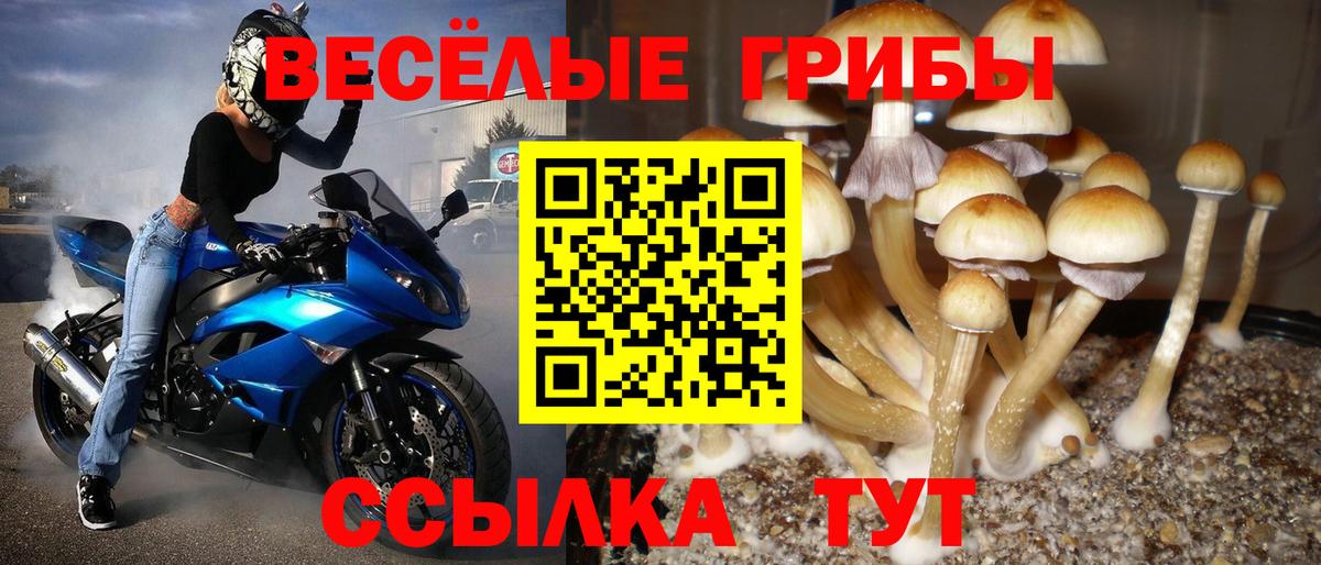 Псилоцибиновые грибы MAGIC MUSHROOMS Мичуринск