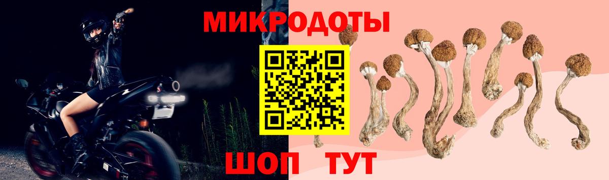 Мичуринск  Псилоцибиновые грибы Cubensis  Вход с VPN 