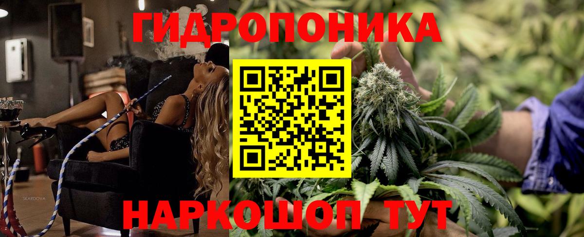 Каннабис индика Мичуринск